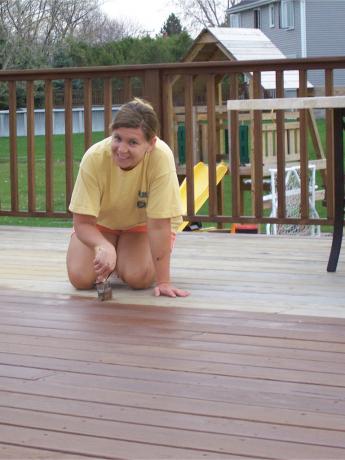 Tricia stains the deck