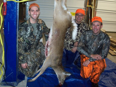 doe-hanging