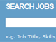 Hudson Jobs Portal SEO